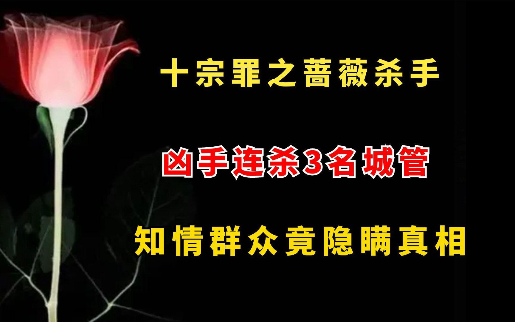 十宗罪之蔷薇杀手,凶手连杀3名城管,知情群众竟隐瞒真相哔哩哔哩bilibili