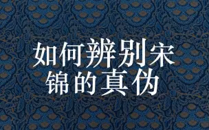 非遗宋锦|如何从织面上辨别宋锦真伪