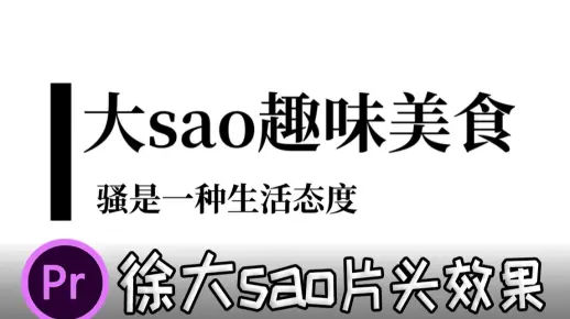 【pr教程】徐大sao片头效果两分半学会