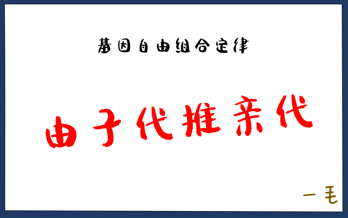 自由组合定律由子代推亲代【高中生物必修二】哔哩哔哩bilibili