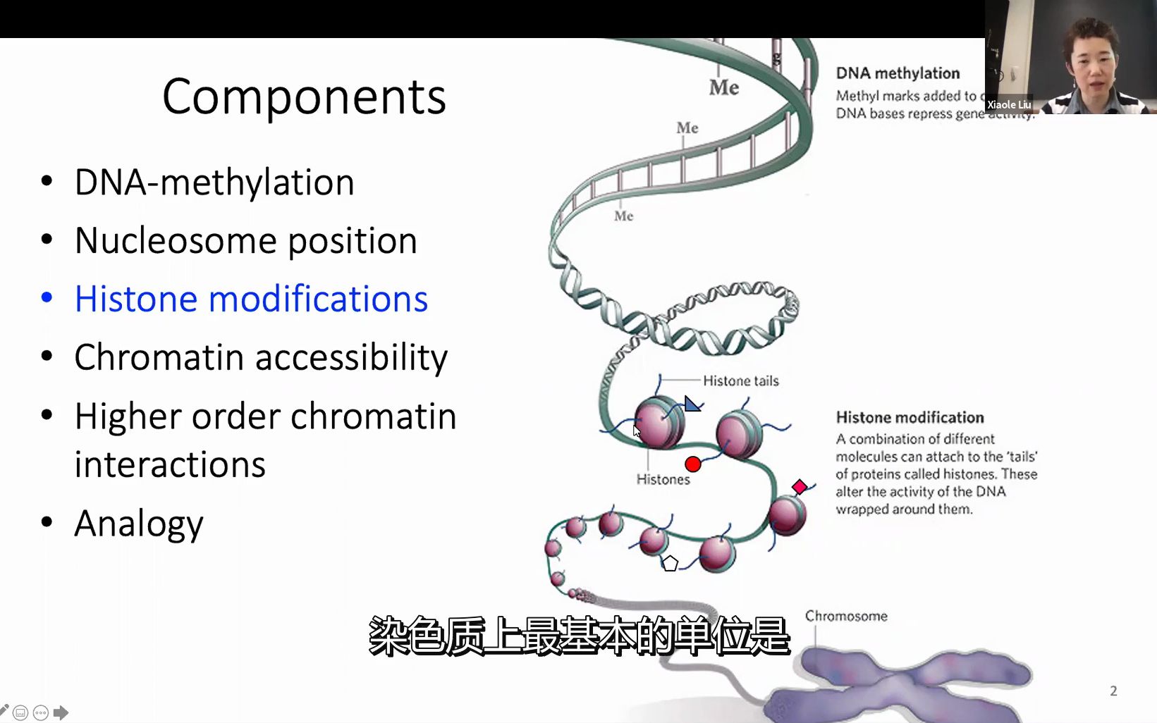 表观遗传-组蛋白修饰