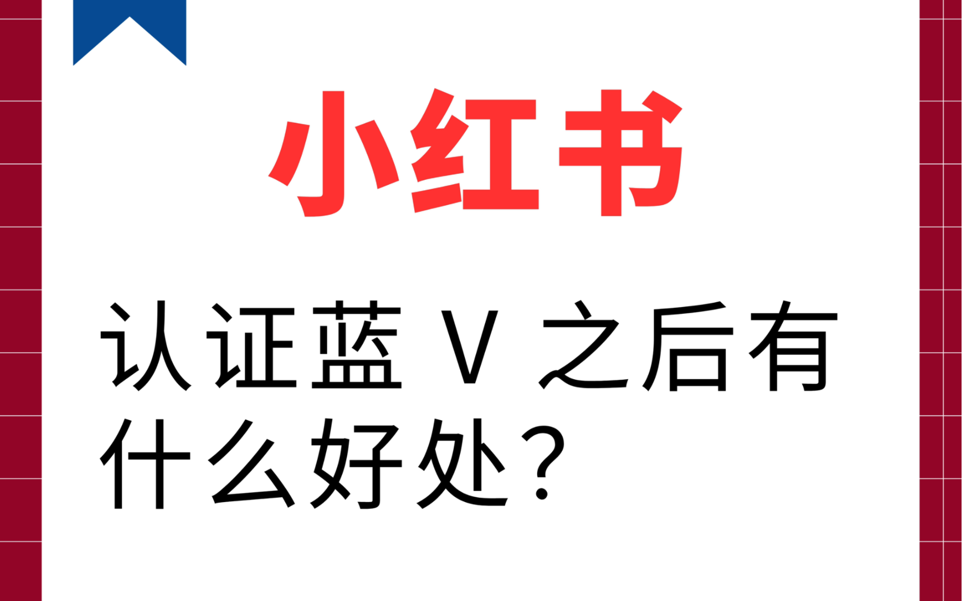 小红书认证蓝v有什么好处?哔哩哔哩bilibili