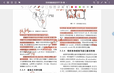 普生第3章细胞结构与细胞通讯(2)哔哩哔哩bilibili