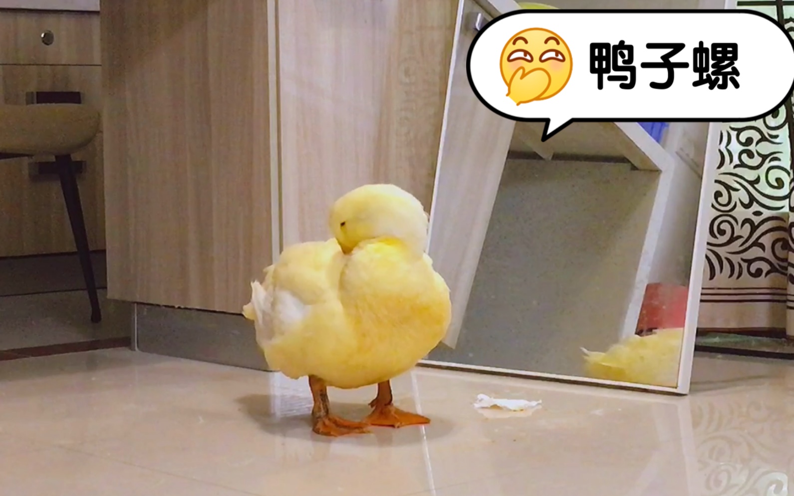 活动作品这只小鸭子怎么喝水都会长胖