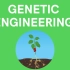 基因工程 Genetic engineering