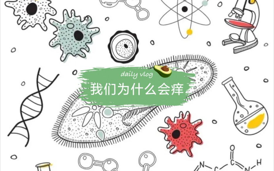 [图][有趣的生物科普]我们为什么会痒