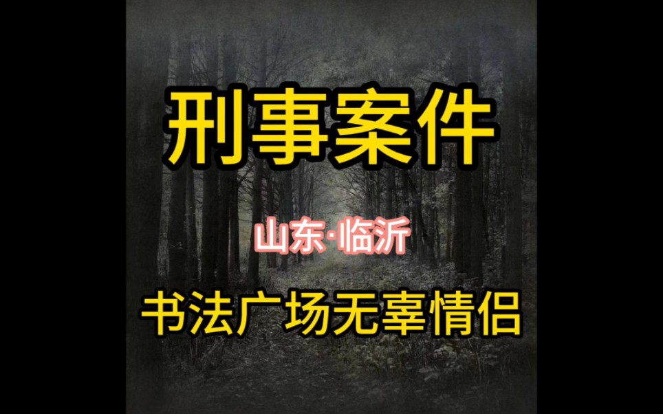 山东临沂:书法广场枪击案哔哩哔哩bilibili