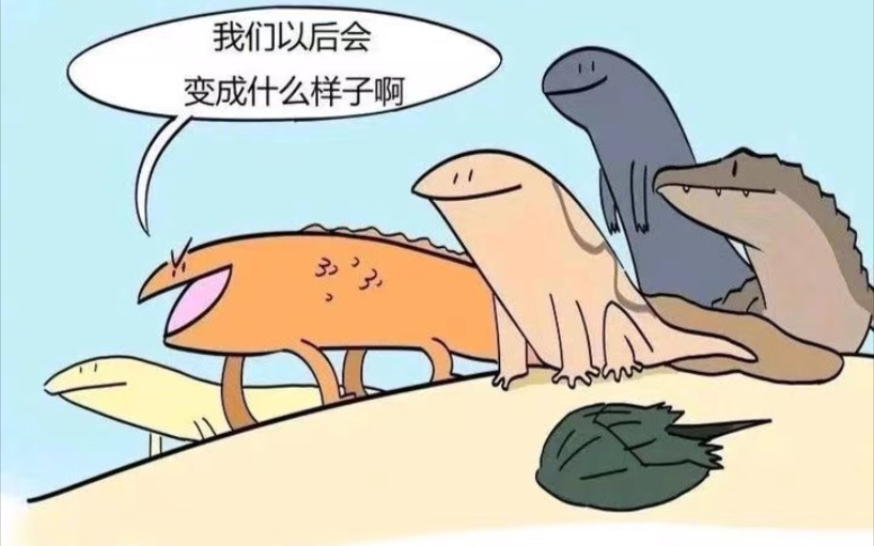 一部分动物进化出了"调休"