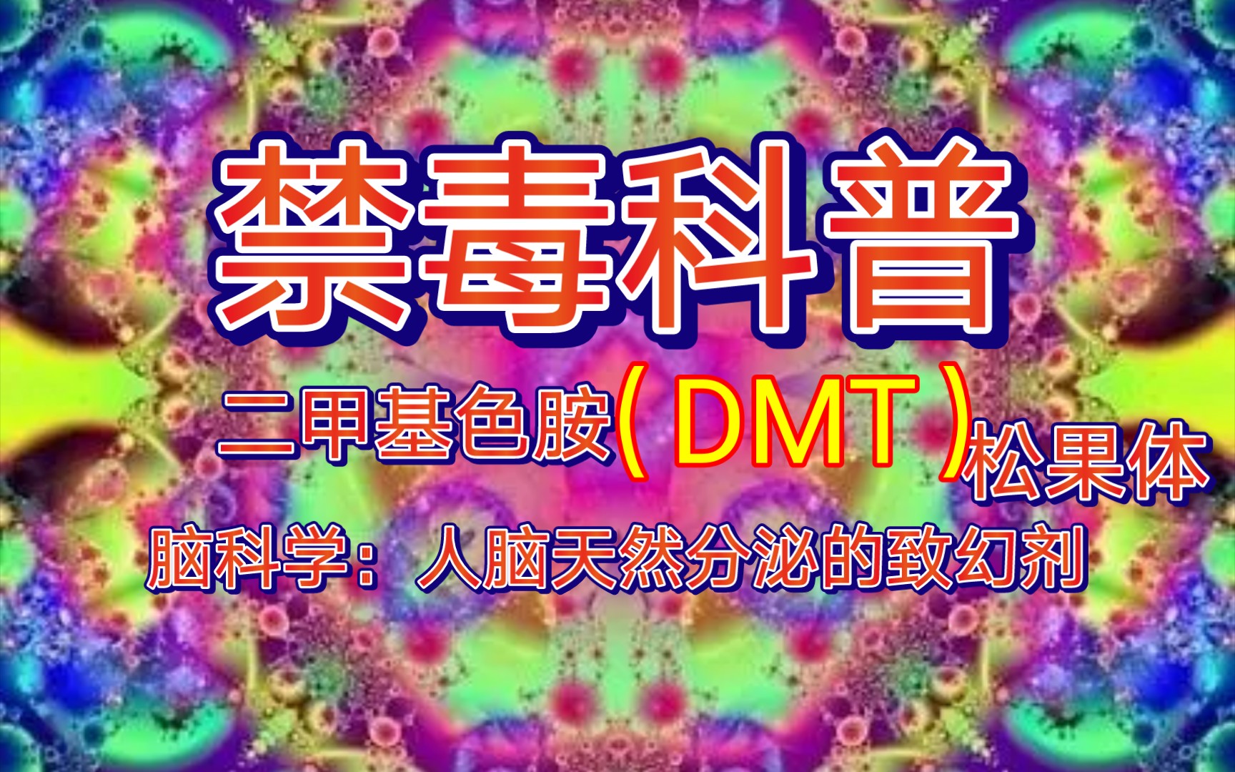 《禁毒科普脑科学》二甲基色胺(DMT),人脑天然分泌的致幻剂,松果体知识.哔哩哔哩bilibili