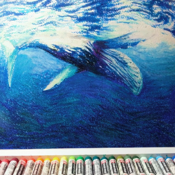 【油画棒画个鲸鱼】放了好久的樱花蜡笔还能用诶，解压～_哔哩哔哩 