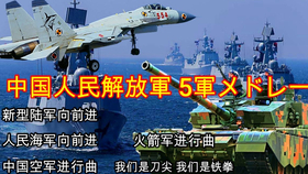 向军旗敬礼 海军空军武警陆军经典阅兵进行曲联奏 哔哩哔哩 つロ干杯 Bilibili