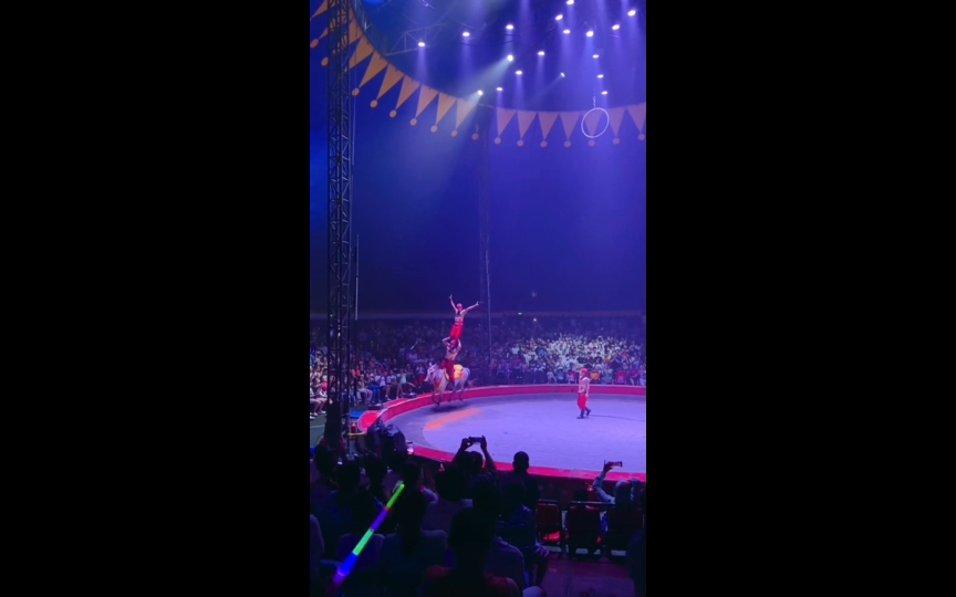 马戏团表演1