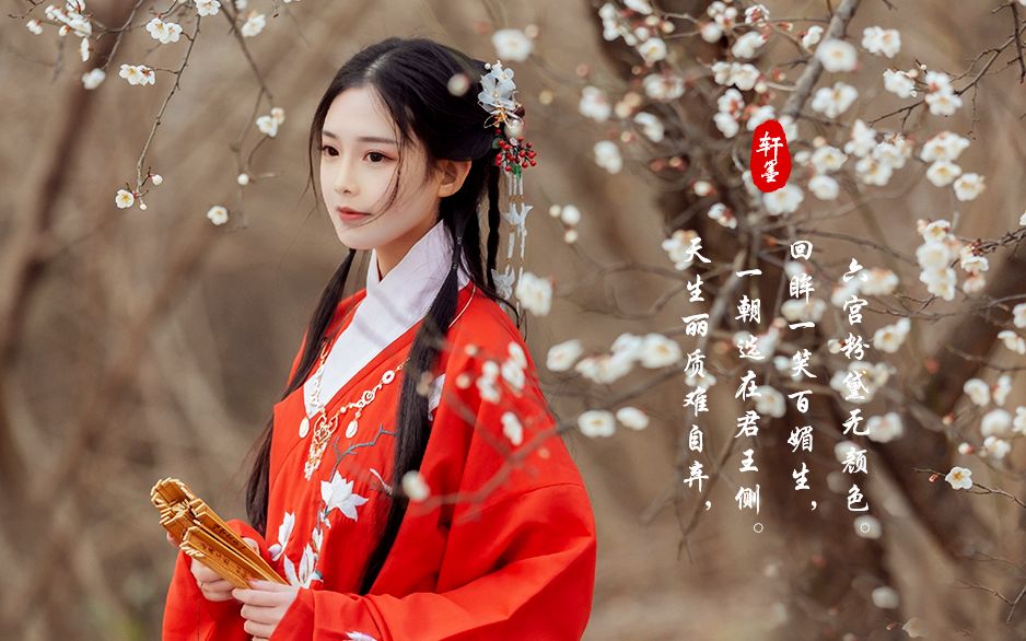 【古风丨轩墨】回眸一笑百媚生,六宫粉黛无颜色.