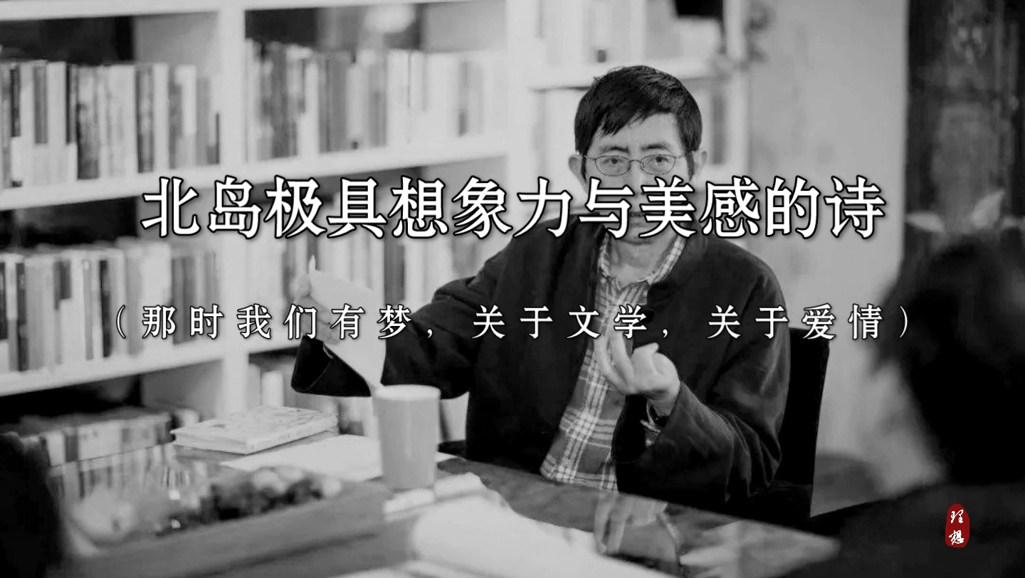 【北岛】“那时我们有梦,关于文学,关于爱情”|那些极具想象力与美感的诗哔哩哔哩bilibili