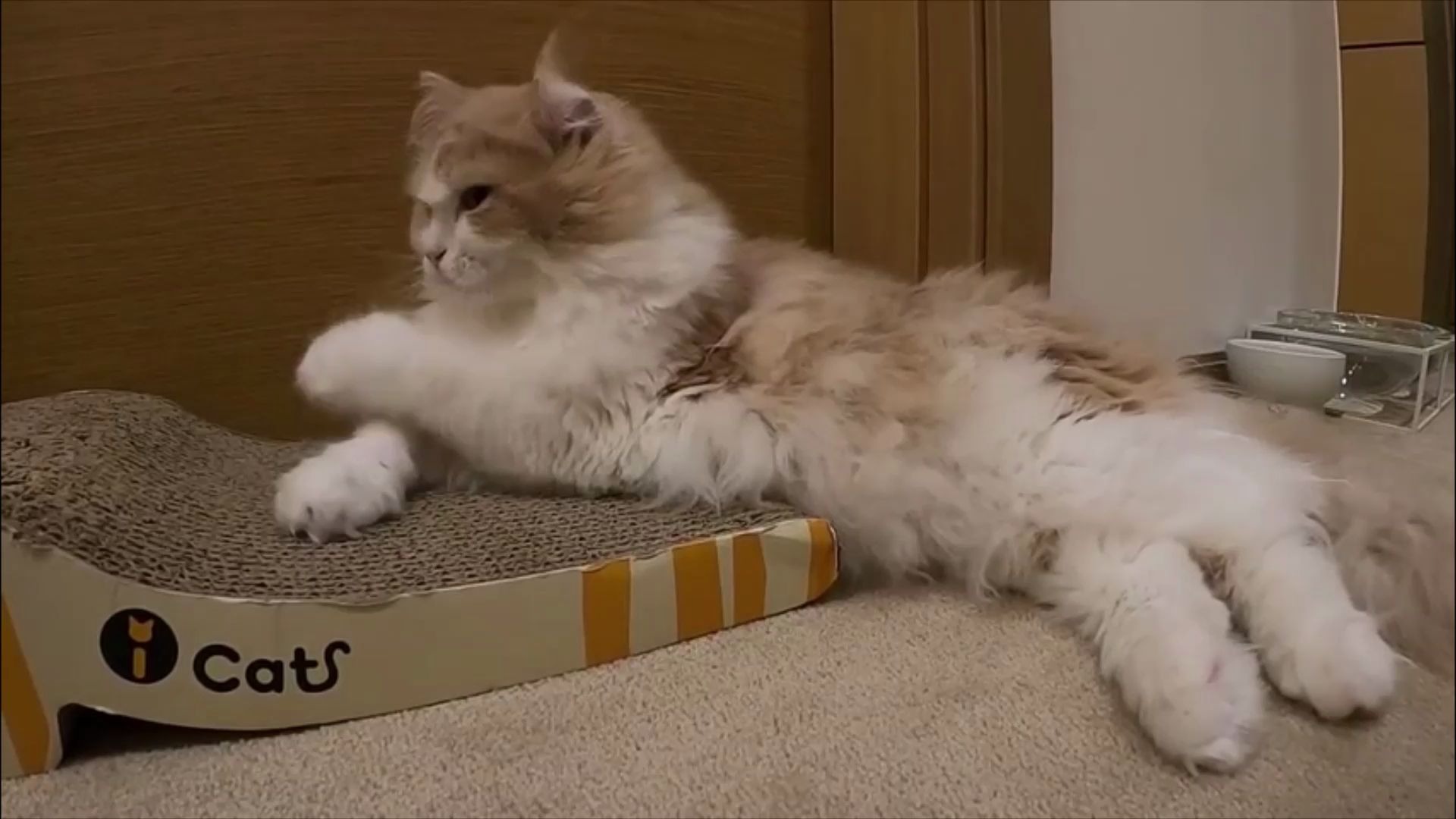 [creamheroes_dd]20200217直播翻译