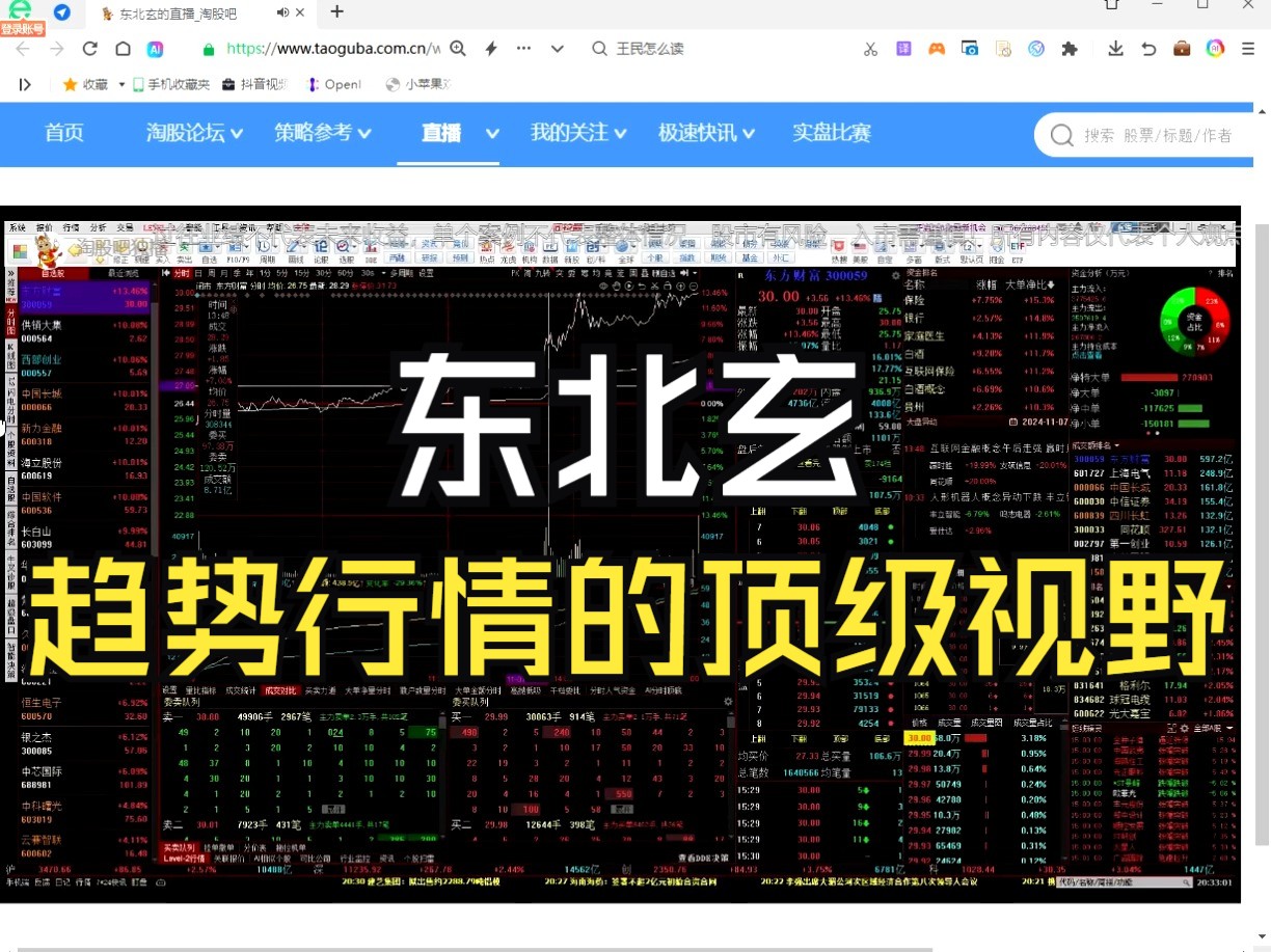 20241107淘股吧东北玄 :趋势行情的顶级视野哔哩哔哩bilibili