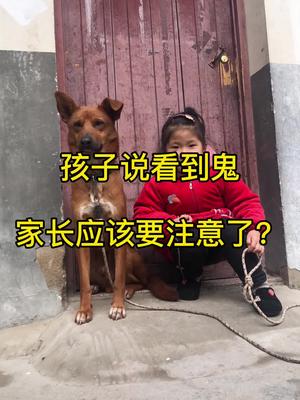 孩子说看到鬼,家长应该要注意了?哔哩哔哩bilibili