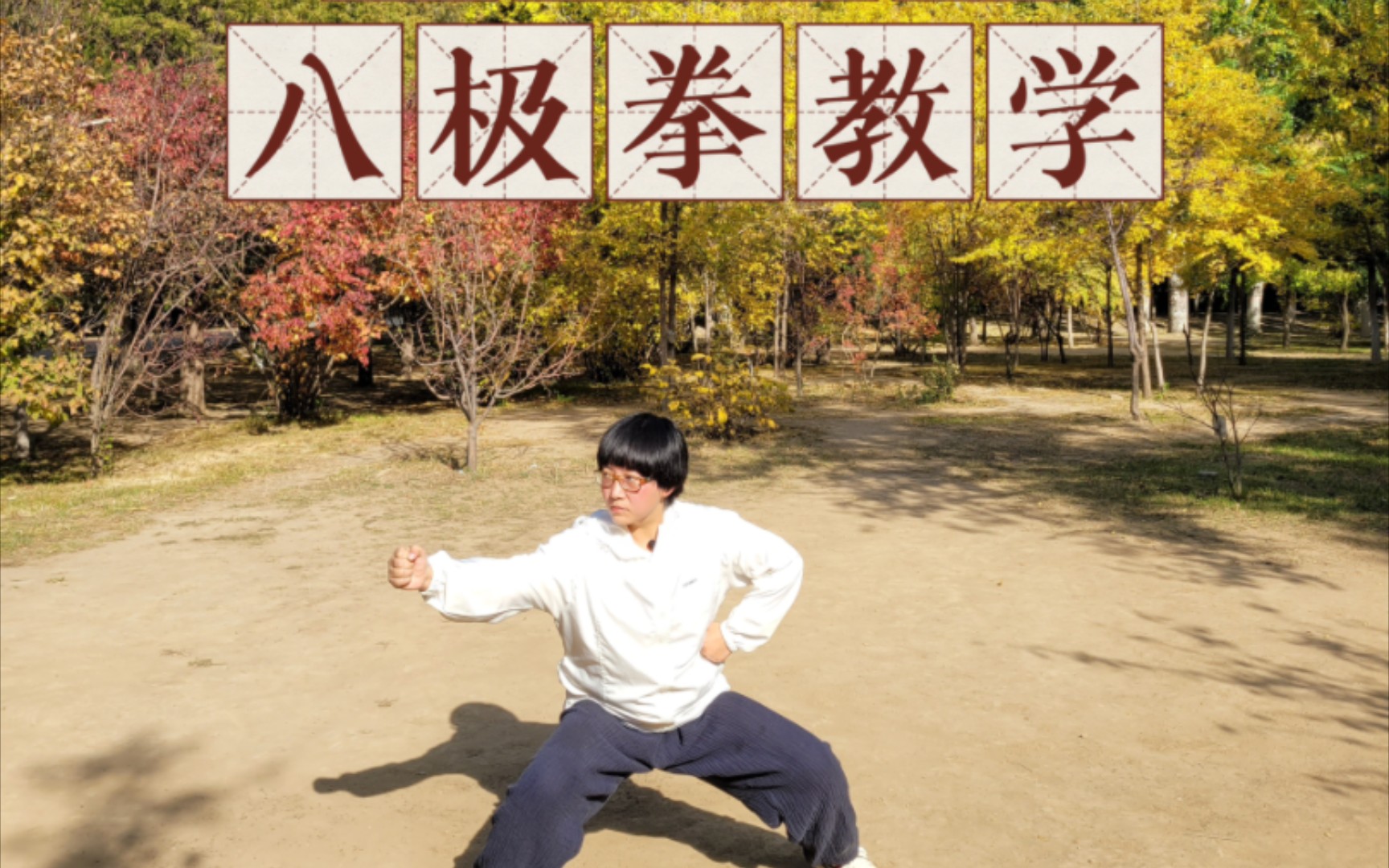 学中医也得练武强身,八极拳小架一路教学(10)