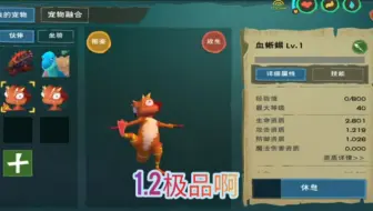 创造与魔法：抓到极品血蜥蜴，不过好像这蜥蜴没人要啊