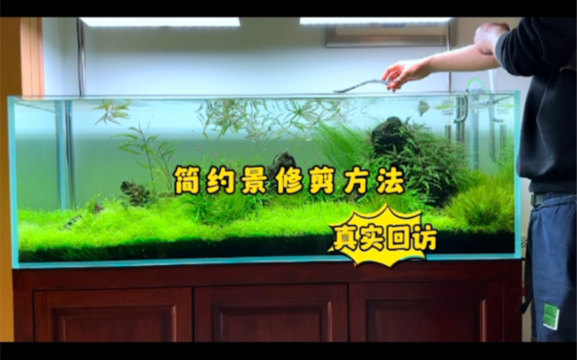 真实回访之简约水景哔哩哔哩bilibili