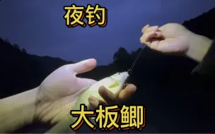 Download Video: 天一黑鲫鱼就来啦 钓过瘾了