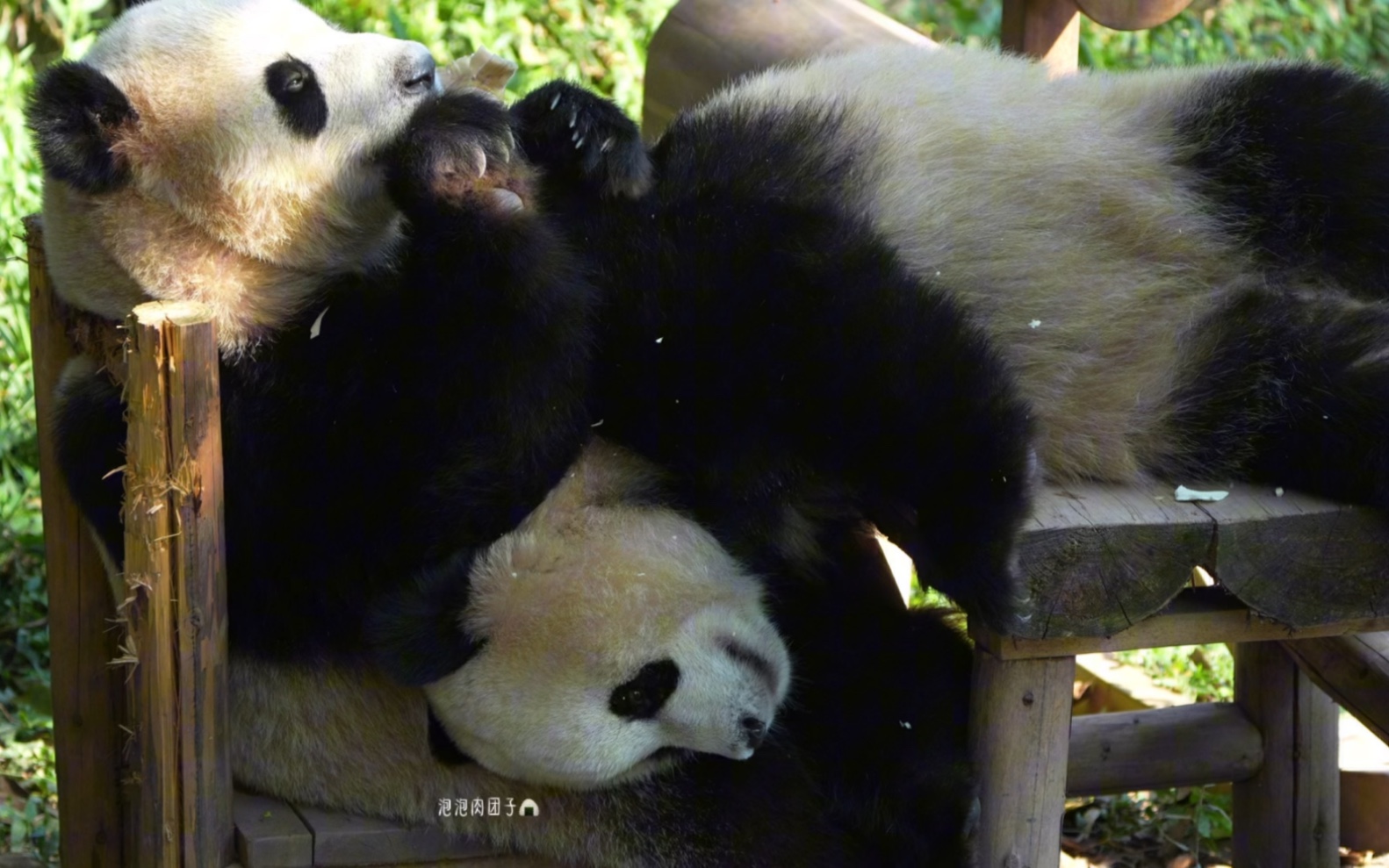 8.23可爱兄妹异口同声:哈哈果果好吃