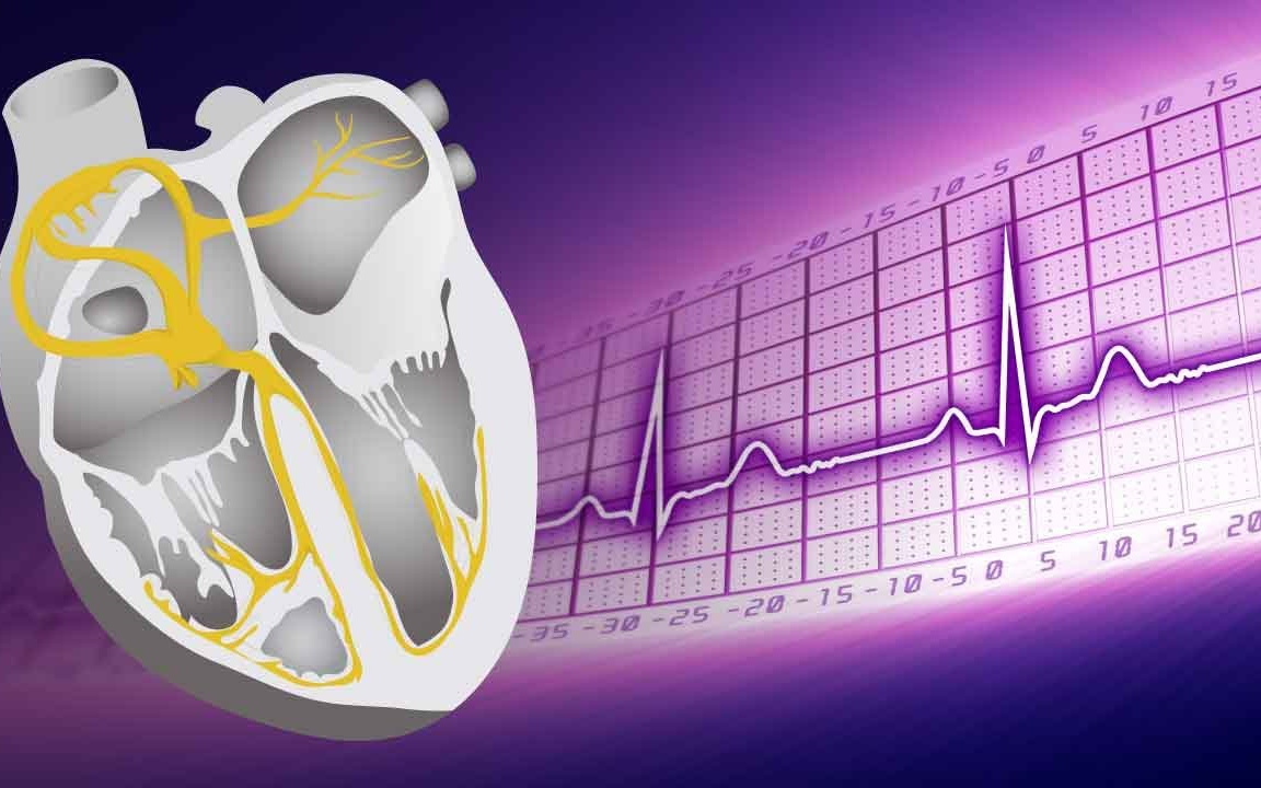 3分钟心电图系列课程 | 双语字幕 | 医学动画 | 医学英语哔哩哔哩bilibili