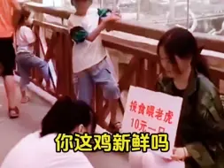 Video herunterladen: 饲养员与老虎对了一晚上的账也不知道问题出在哪里