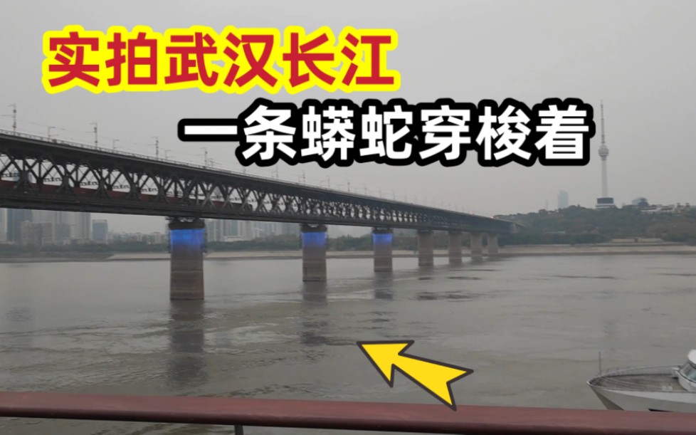 实拍武汉长江,长江大桥下有一条“大货”准备上岸,一起来看看吧哔哩哔哩bilibili