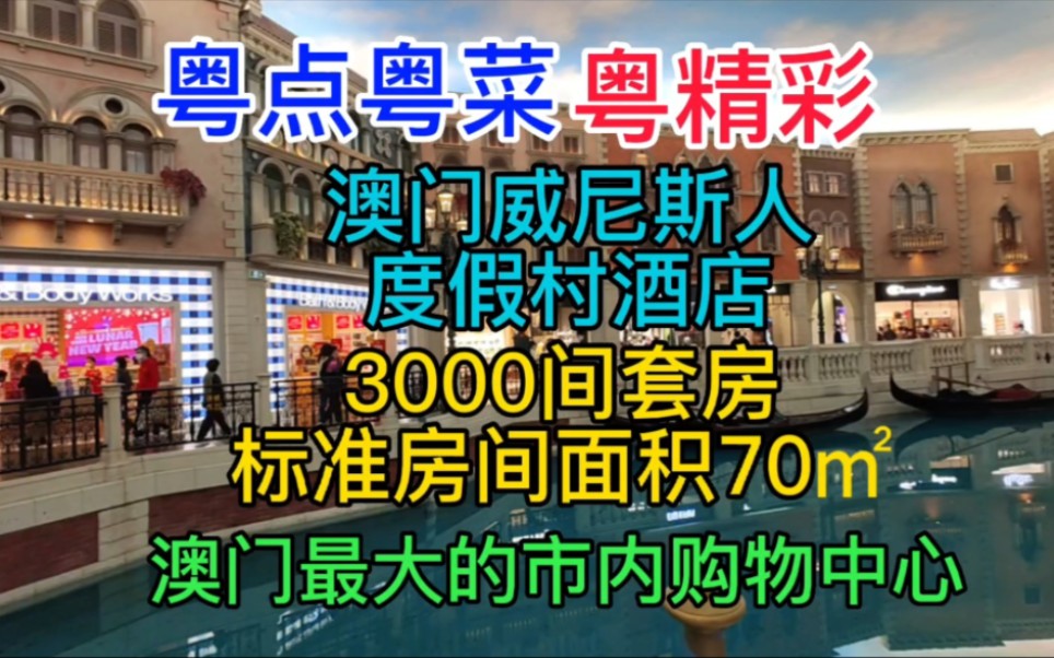 粤点粤菜粤精彩,澳门威尼斯人度假村酒店,3000间套房,标准房间面积70㎡,澳门最大的市内购物中心,粤语中字幕哔哩哔哩bilibili