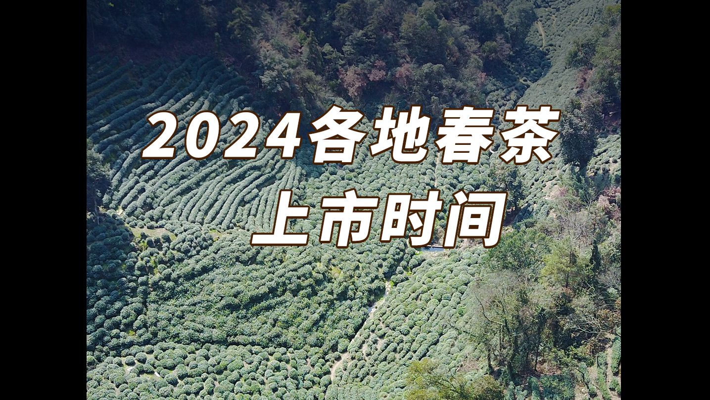 2024各地春茶上市时间,看看有没有你期待的茶!哔哩哔哩bilibili