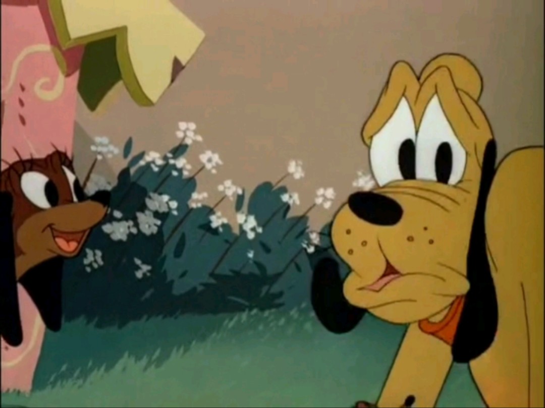 迪士尼动画布鲁托犬中情圣(米高梅动画1953年蓝色结尾)