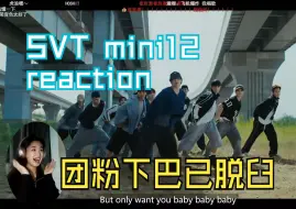 Download Video: 一起来看seventeen mini12 MV