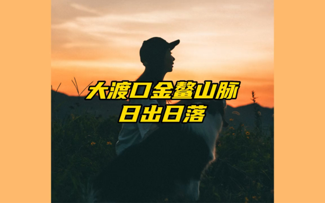 大渡口也有好玩的地方,骑车,遛狗,看日落哔哩哔哩bilibili