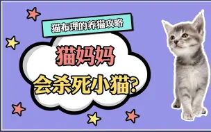 Download Video: 猫妈妈会杀死小猫？