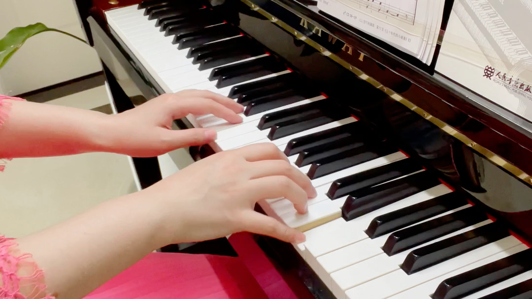 牧菲老师 菲伯尔5 归来