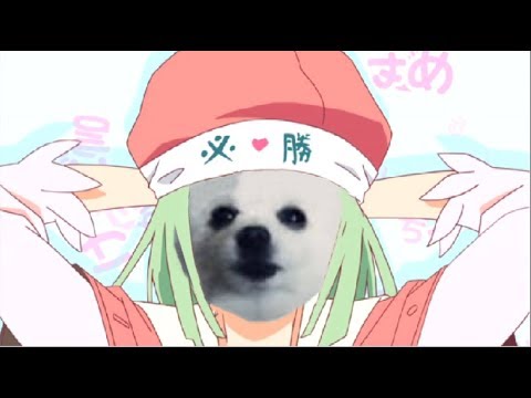 Bork循环哔哩哔哩bilibili