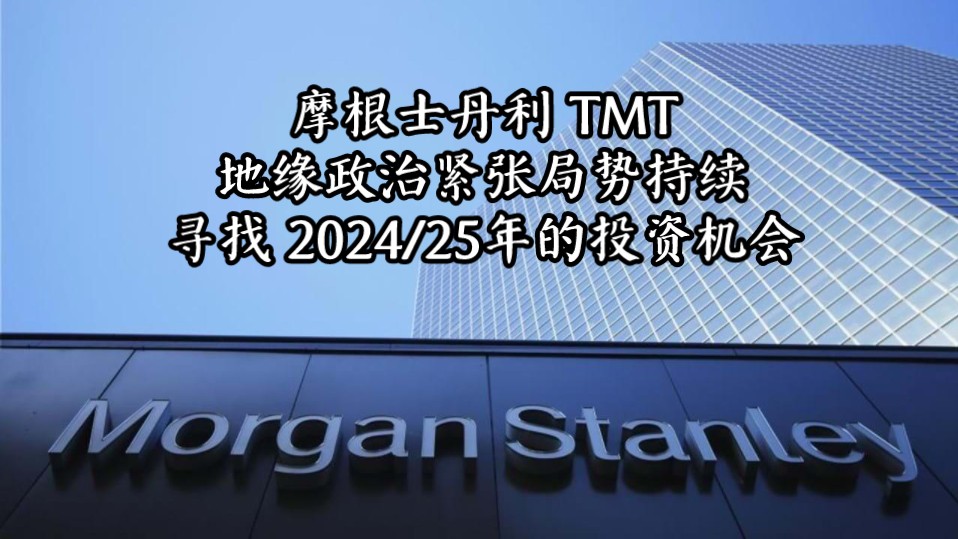 大摩 TMT 地缘政治紧张局势持续寻找 2024/25年的投资机会哔哩哔哩bilibili