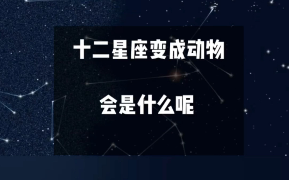 十二星座变成动物会是什么?你绝对想不到~哔哩哔哩bilibili