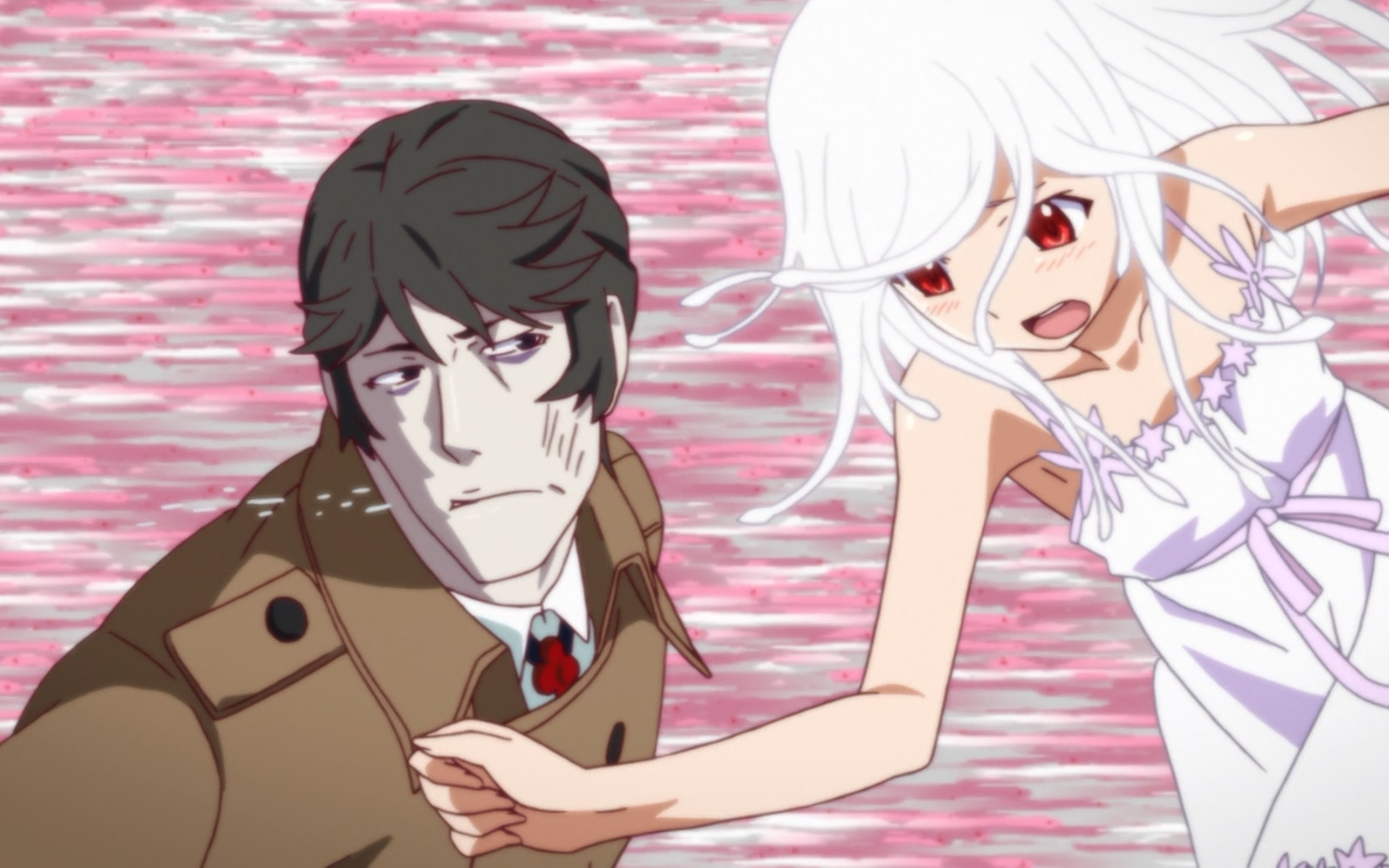 【原盘】恋物语opanded合集 含nc 特典【opanded君】