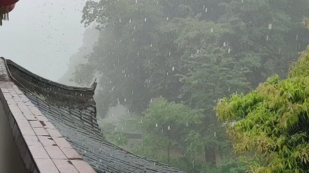 青城山下雨