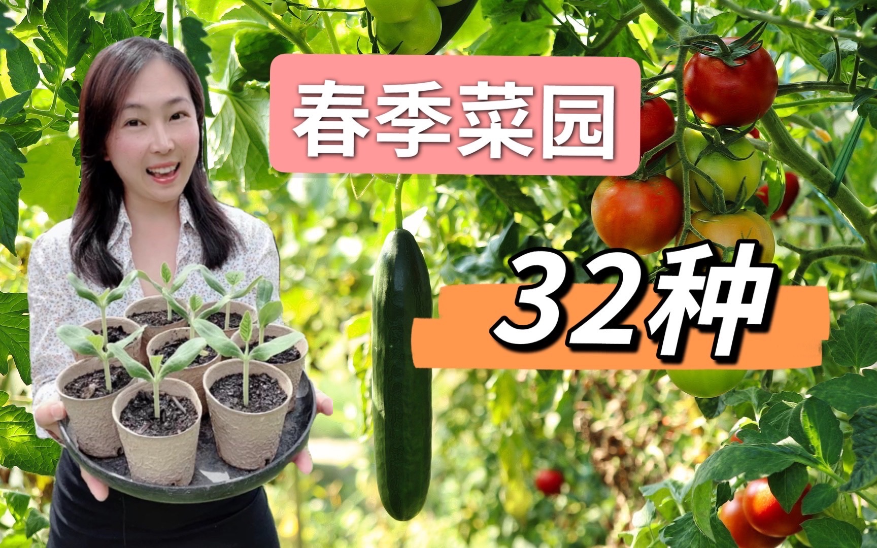 [图]春天种什么？看看我春季小菜园里的32种蔬果花卉