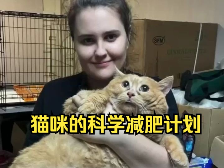 俄罗斯超重猫咪减肥记哔哩哔哩bilibili