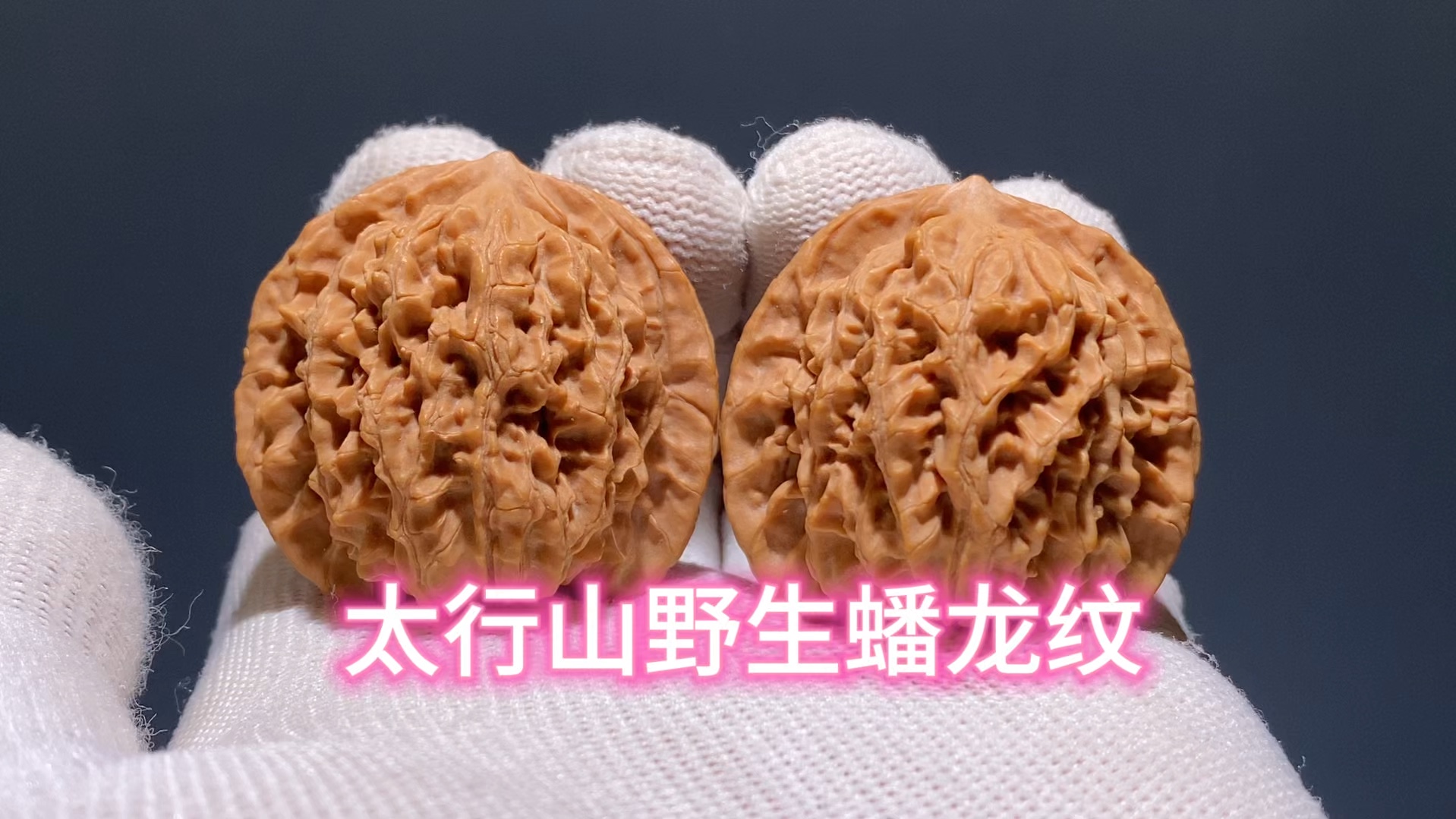 太行山老树蟠龙纹.41✖️35✖️39.全品无修,无药无夹板