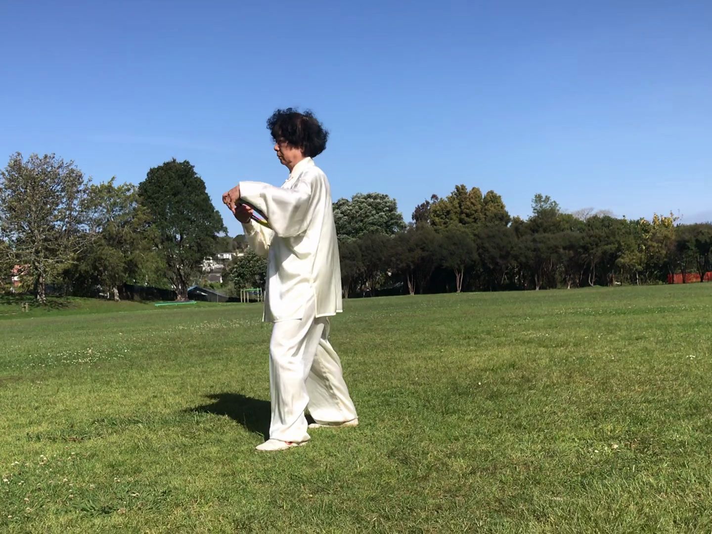 24式木兰双圈