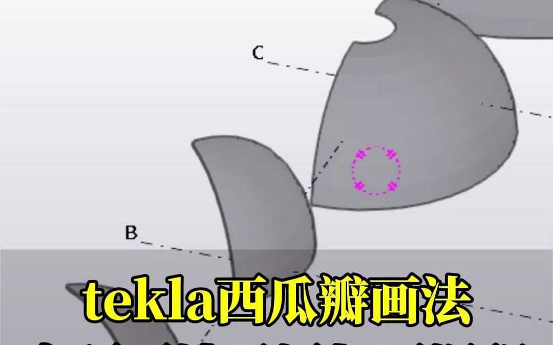 西瓜瓣画法tekla哔哩哔哩bilibili