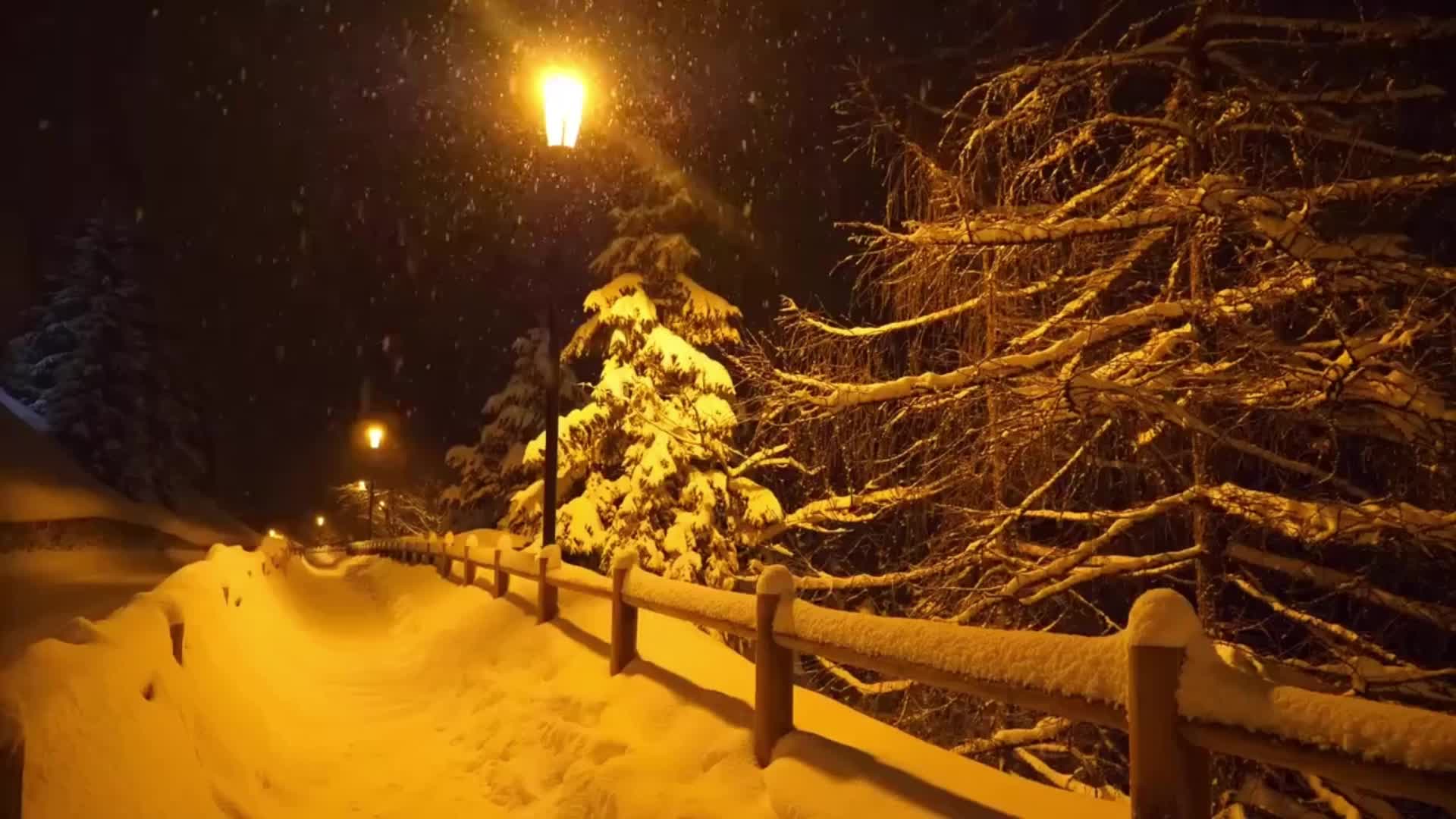 小风有点凉