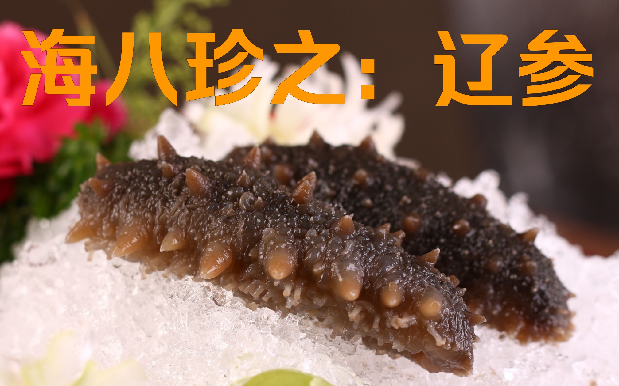 跟大厨学做硬菜之野米扣辽参,营养又健康