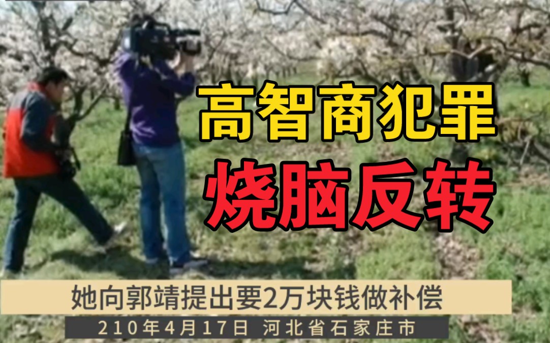 河北省石家庄市《梨园女尸案》烧脑反转案件