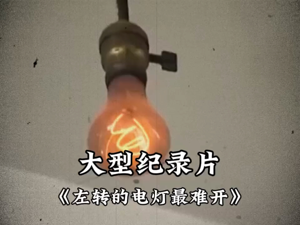 [图]大型纪录片《左转的电灯最难开》上映